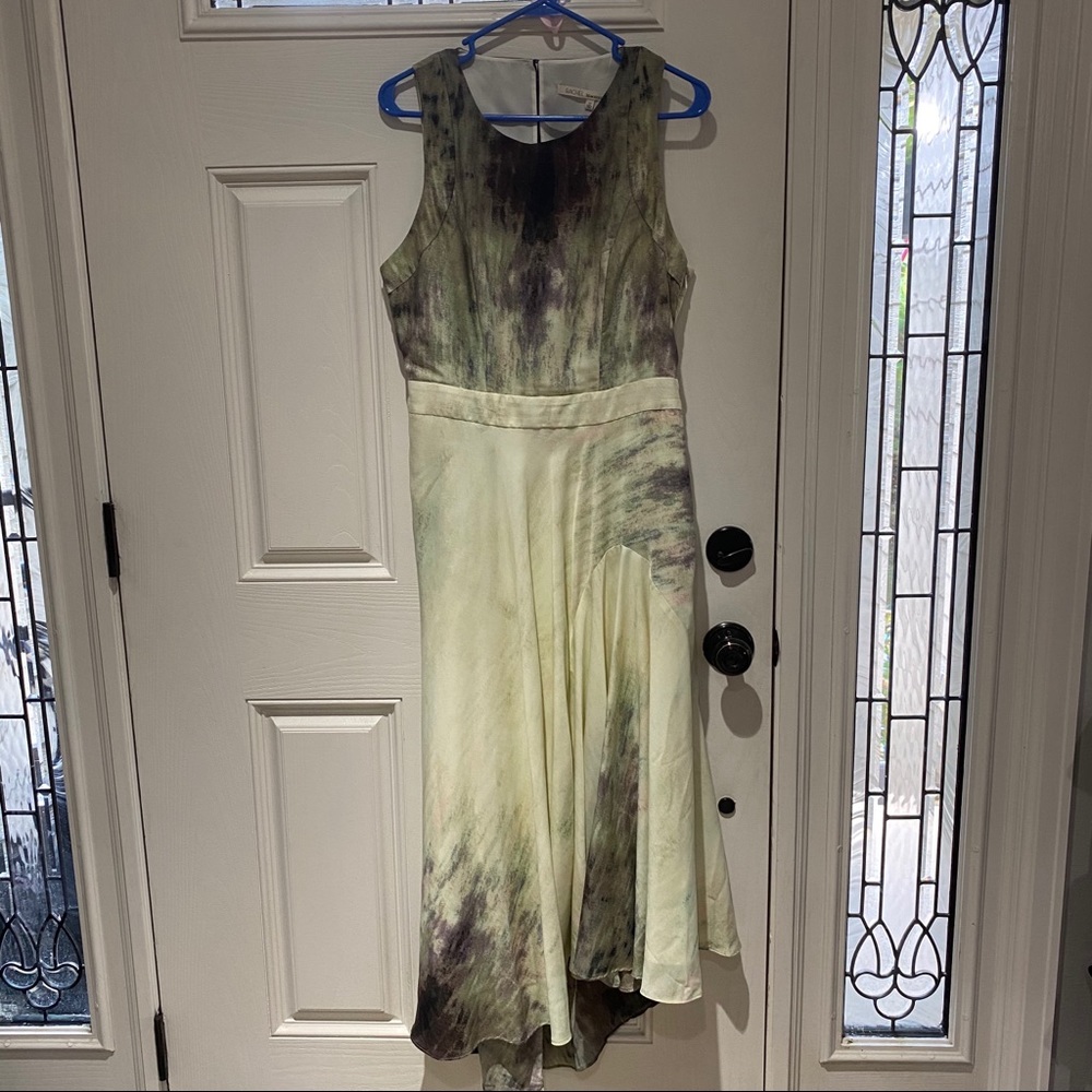 Gorgeous Rachel Roy Dress
